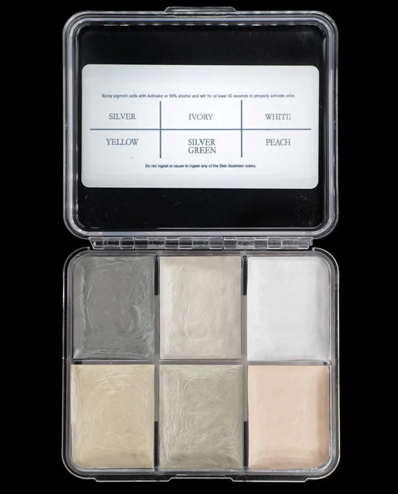 Hair Illustrator Aging On Set palette cheveux grisonnants 6 tons