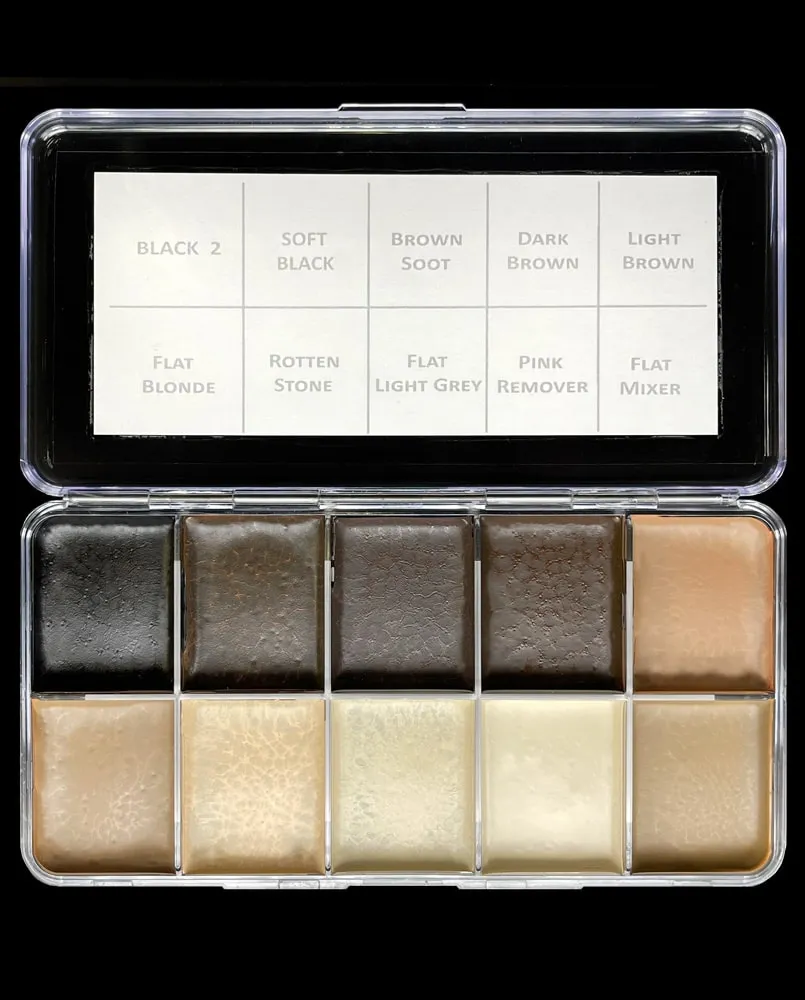 Skin Illustrator Hair Illustrator Frandy Li Palette maquillage cheveux