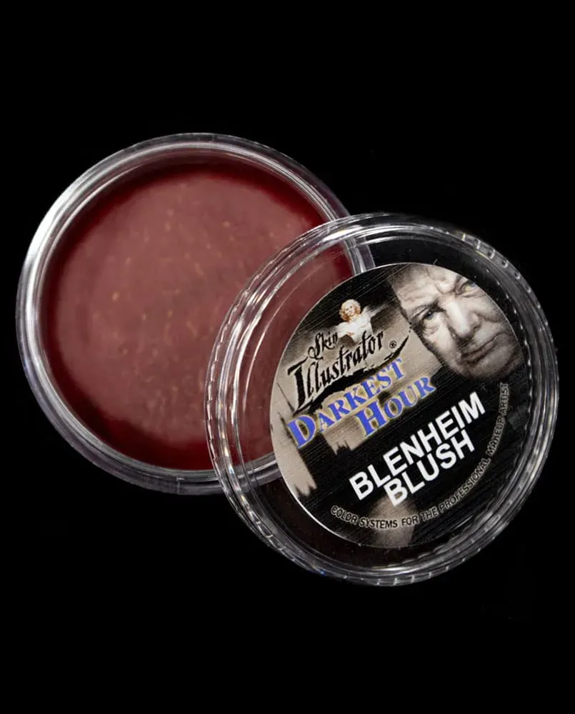 Skin Illustrator Darkest Hour godet maquillage Blenheim Blush