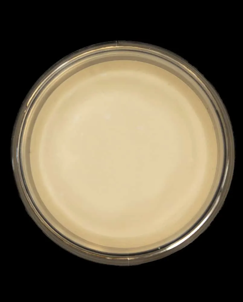 Skin Illustrator Polychrome godet maquillage peau claire