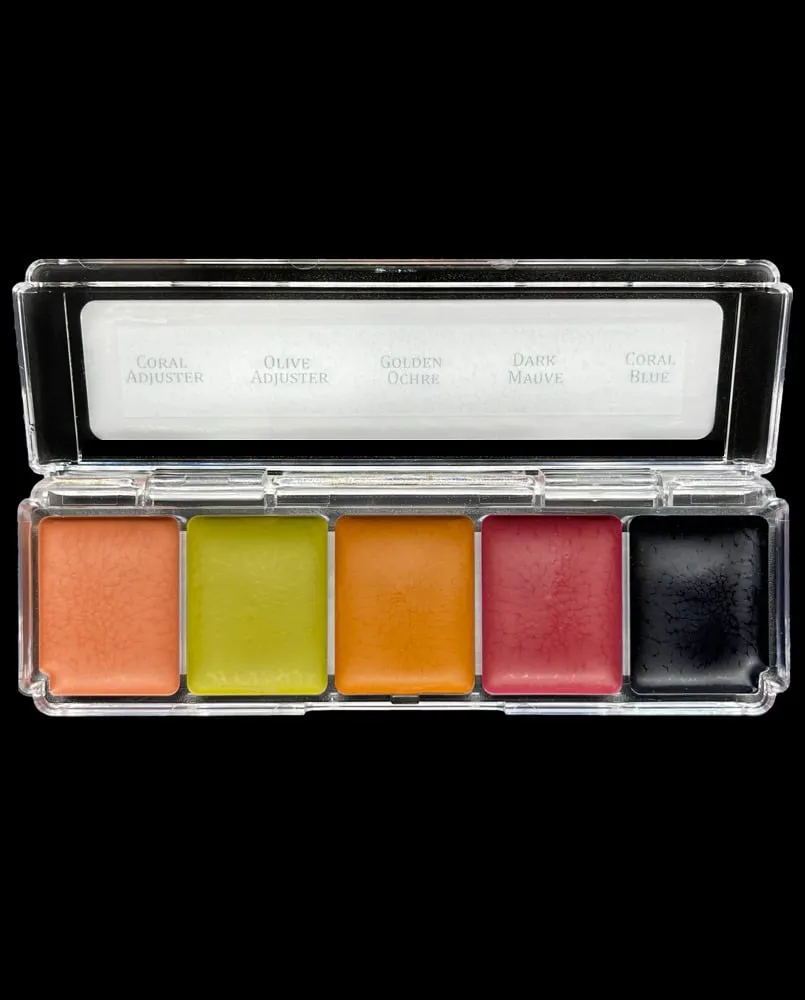 Skin Illustrator Mini Adjuster 1 palette maquillage 5 couleurs