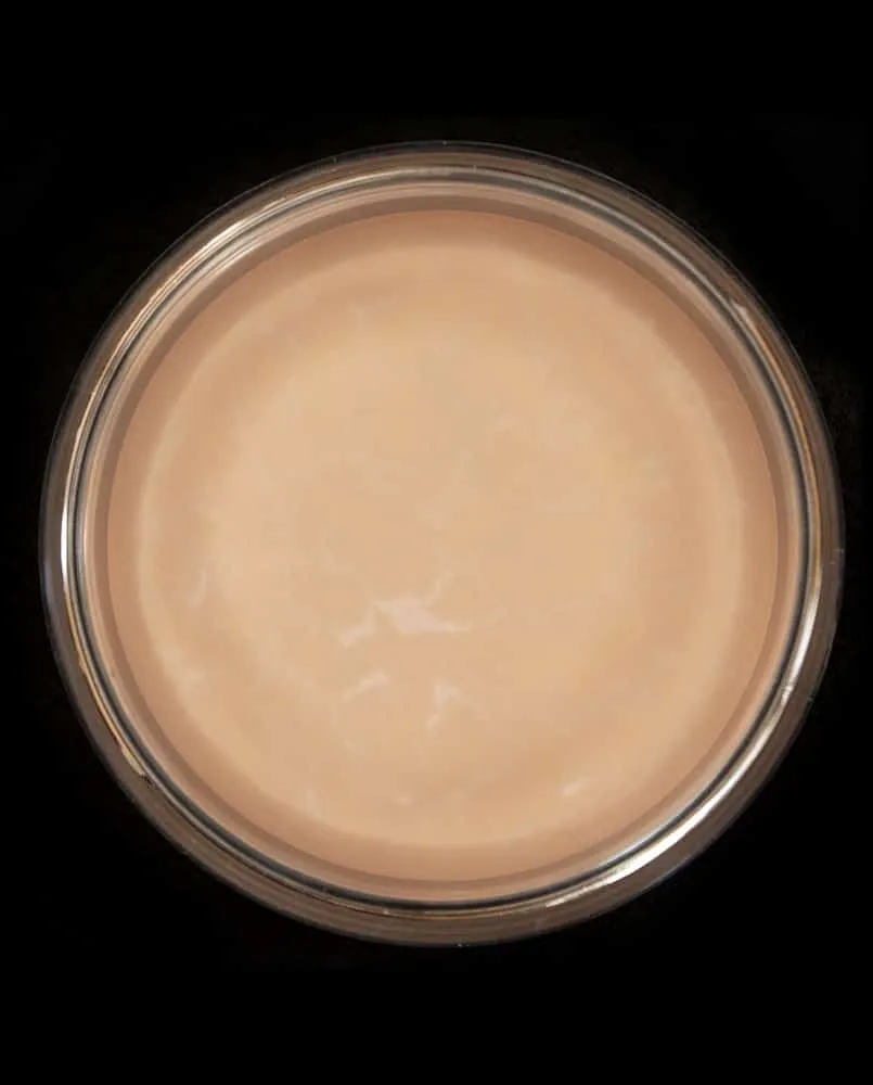 Skin Illustrator Polychrome godet maquillage peau claire