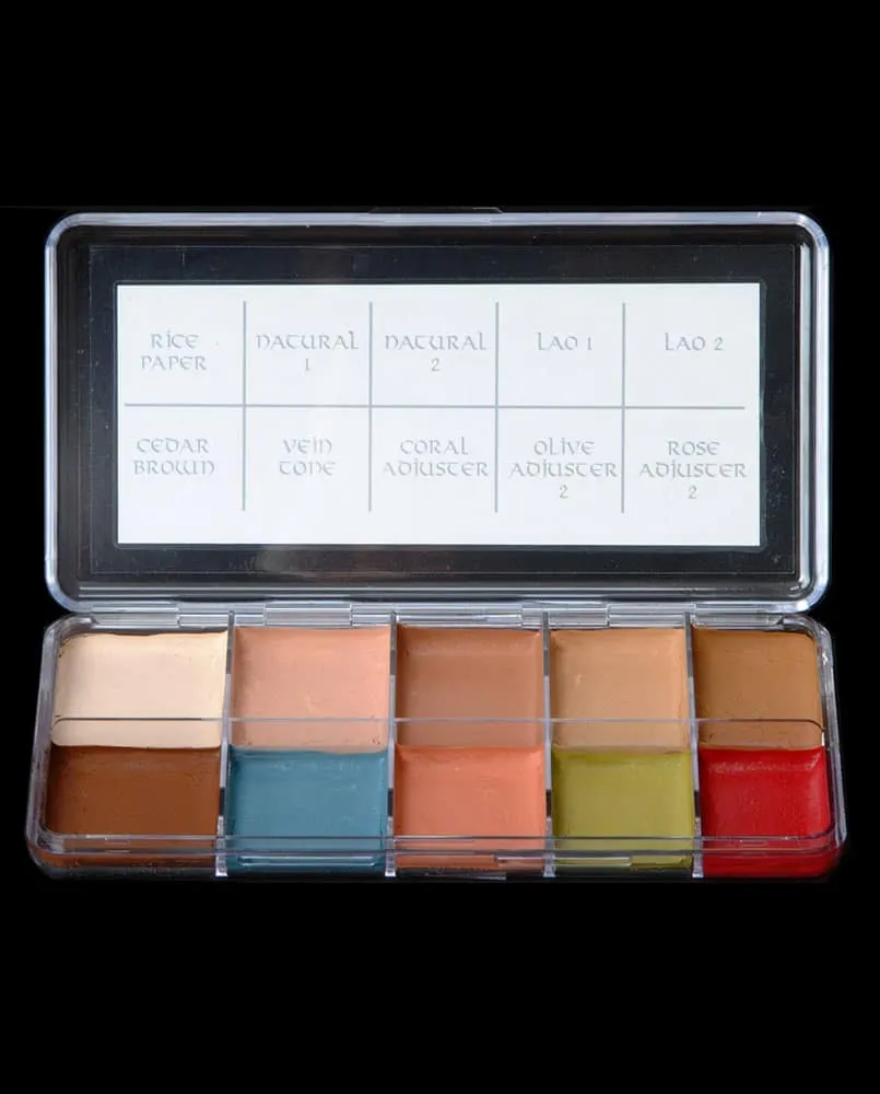 Skin Illustrator Flesh Tone Palette palette carnations maquillage