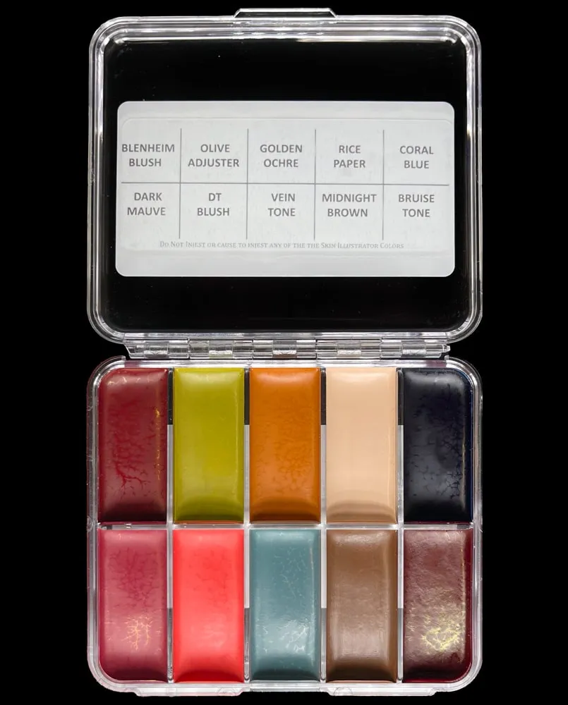 Skin Illustrator Darkest Hour On Set palette fard alcool 10 tons