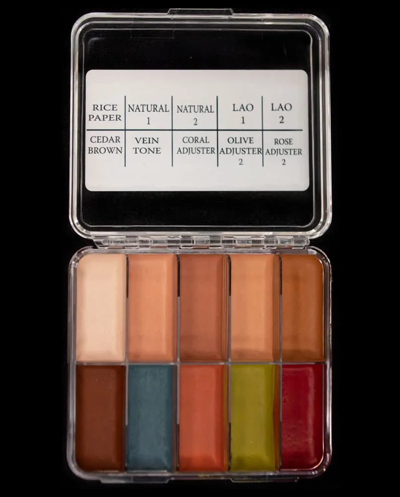 Skin Illustrator Flesh Tone On Set palette fard 10 couleurs