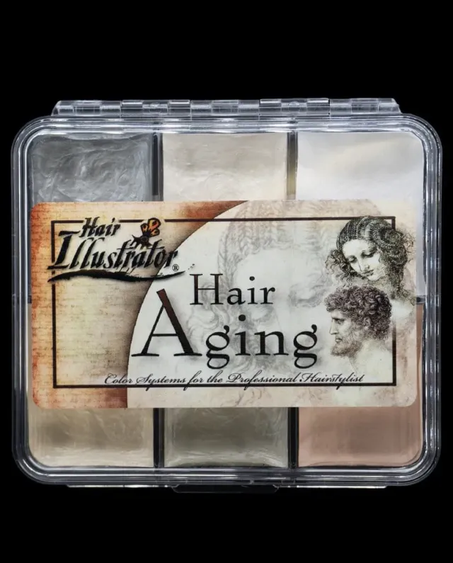 Hair Illustrator Aging On Set palette cheveux grisonnants 6 tons