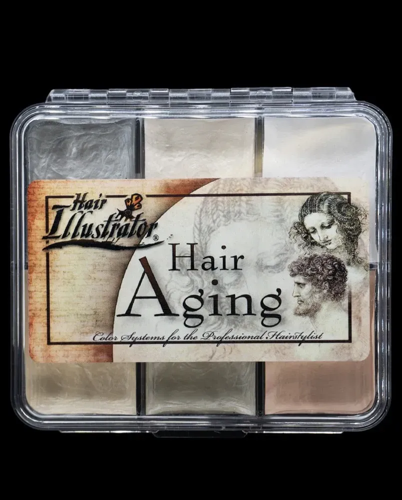 Hair Illustrator Aging On Set palette cheveux grisonnants 6 tons