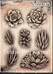 ProAiir Tattoo Pro Succulents pochoirs tatouage réaliste