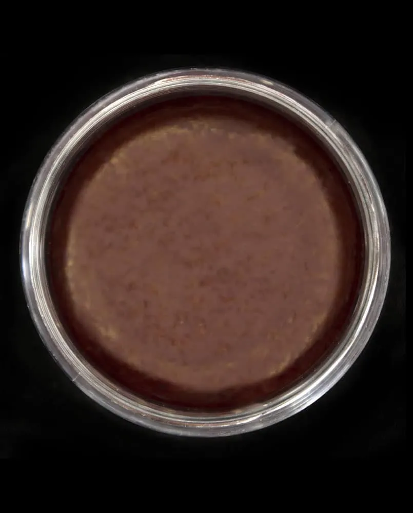 SKIN ILLUSTRATOR American Horror Singles pots maquillage Coven Asylum