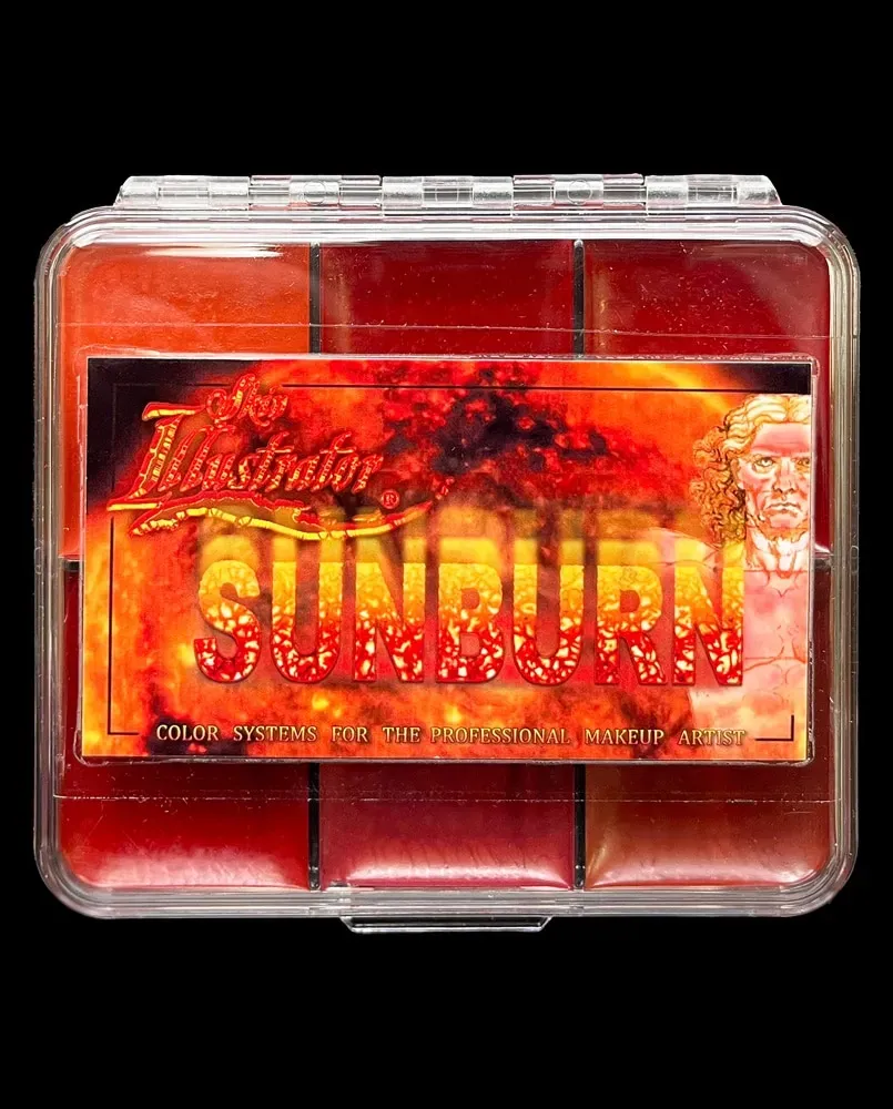 Skin Illustrator Sunburn On Set Palette fard coup de soleil