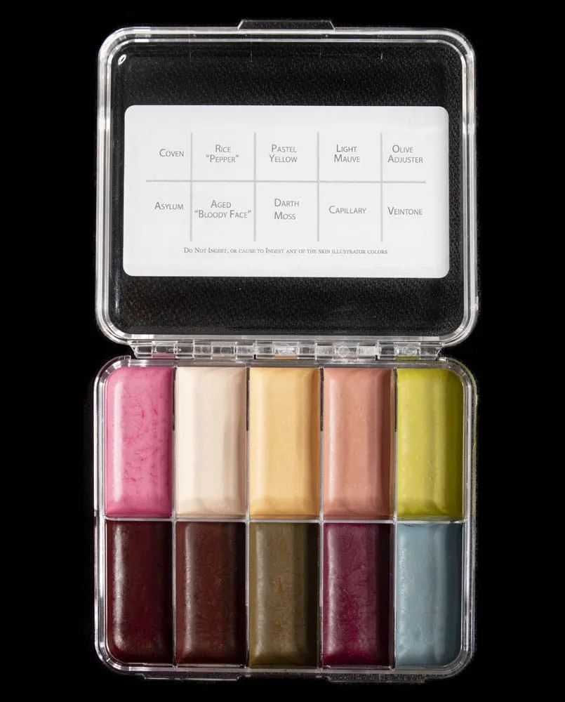 Skin Illustrator American Horror On Set palette alcool compacte
