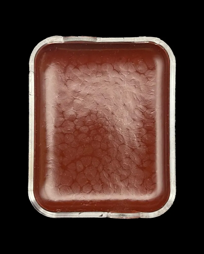 Skin Illustrator FX palette maquillage cellules rechargeables