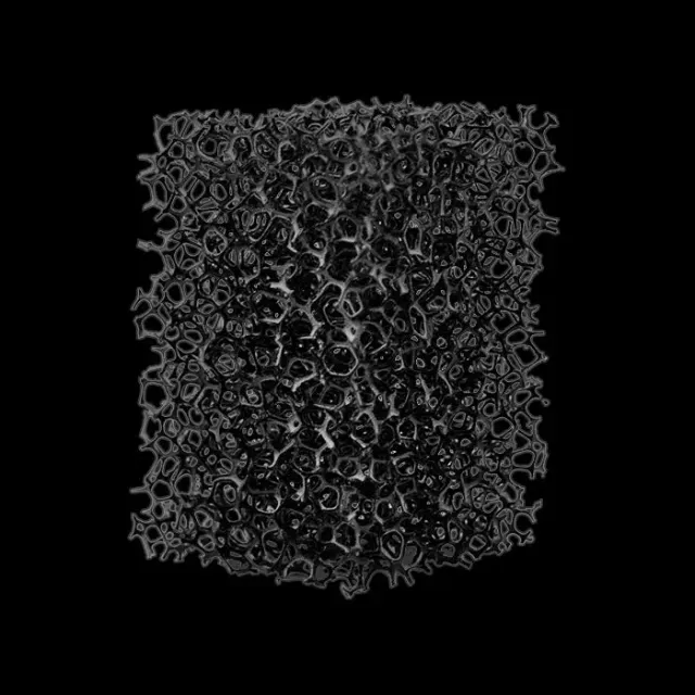 Woochie éponge stipple noire bloc grain réaliste