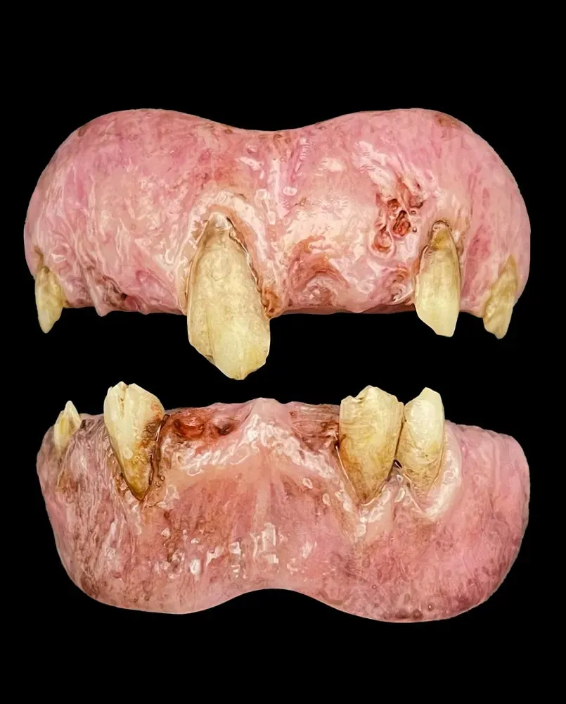 Bitemares Fangtasmagoria Witchy dents théâtre délabrées